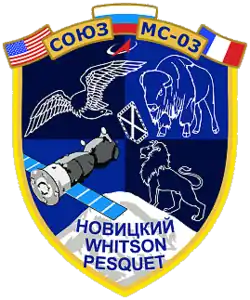 Insígnia da missão