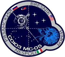 Insígnia da missão