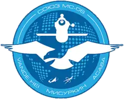 Insígnia da missão