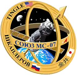 Insígnia da missão