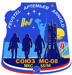 Insígnia da missão