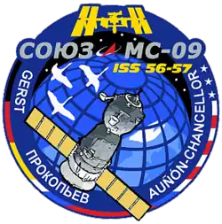 Insígnia da missão