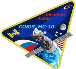 Insígnia da missão