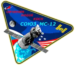 Insígnia da missão