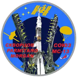 Insígnia da missão