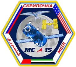 Insígnia da missão