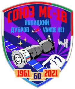 Insígnia da missão