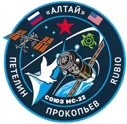 Insígnia da missão