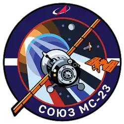 Insígnia da missão