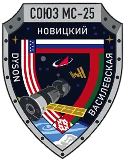 Insígnia da missão