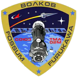 Insígnia da missão