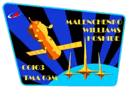 Insígnia da missão