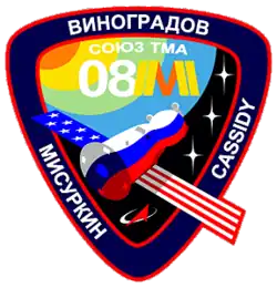 Insígnia da missão