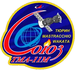 Insígnia da missão