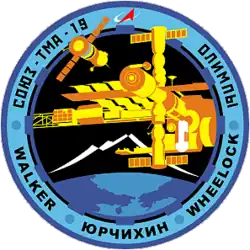 Insígnia da missão