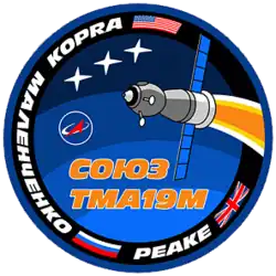 Insígnia da missão