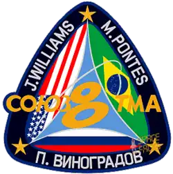 Insígnia da missão