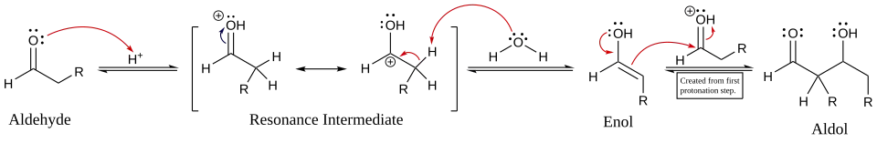 Mecanismo da reação aldólica catalisada por ácido de um aldeído com ele próprio.