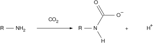Formação do íon carbamato