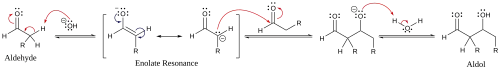 Mecanismo simples para reação aldólica catalisado por base de um aldeído com ele mesmo