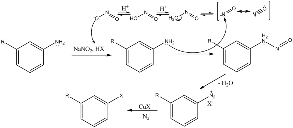 The Mechanism of the Sandmeyer Reaction