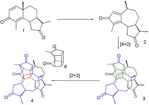 Reação Fotoquímica da Santonina.