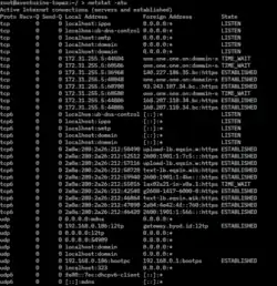 Várias linhas de netstat, em fonte verde com fundo de tela preto.
