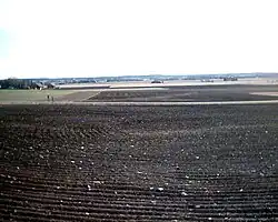 Planície da Gotalândia Oriental