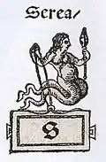 Letra S, "Serea"