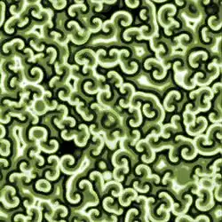 Simulação computacional da reação de Belousov-Zhabotinsky