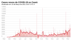 Novos casos, por dia.