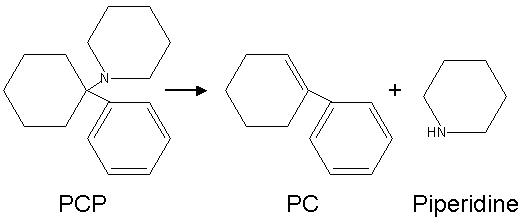 Conversão de PCP em PC e piperidina por calor