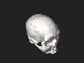 Crânio 3D de um indígena brasileiro reconstruído por Cícero Moraes