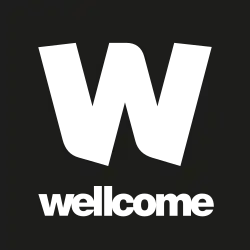 upright=!Artigos sem imagens