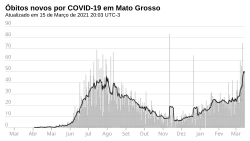 Novos óbitos, por dia.