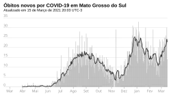 Novos óbitos, por dia.