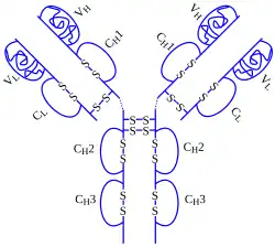 Estrutura química de Adalimumabe