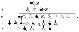 Heredograma da família com membros afetados em diferentes gerações identificando herança autossômica dominante.