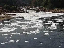 Ao fundo, a água corre por entre as pedras e, mais a frente, corre calma e lentamente. Sobre a água, uma camada de espuma branca.