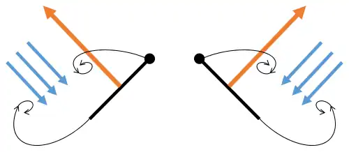 Batida 1: asas fecham sobre as costas.