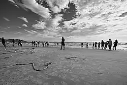 Pesca artesanal de Garopaba