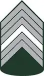1° Sargento do Exército Brasileiro