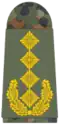 Exército da Alemanha (General)