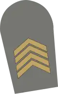 Primeiro-sargento (Exército)