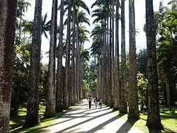 Jardim Botânico do Rio de Janeiro, que dá nome ao bairro.