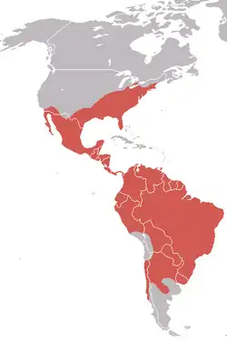 Distribuído por grande parte da América-do-sul, toda a América-central, e sul e sudeste da Ámerica-do-norte