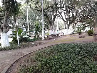 São Gonçalo dos Campos e sua arborização centenária