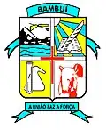Brasão de armas de Bambuí