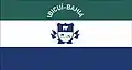 Bandeira de Ibicuí