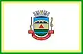 Bandeira de São João del-Rei